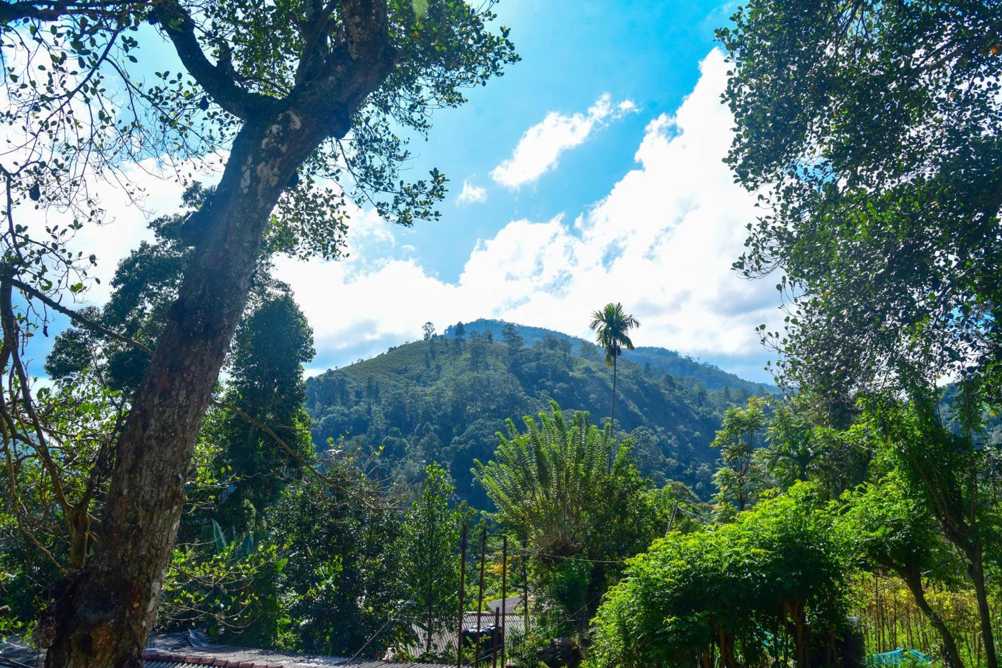 Dawn View Home Stay Элла Экстерьер фото